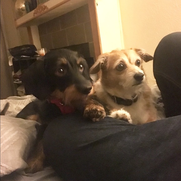 MEET YOUR POSHER 🍕❤️☀️ - Picture 3 of 6